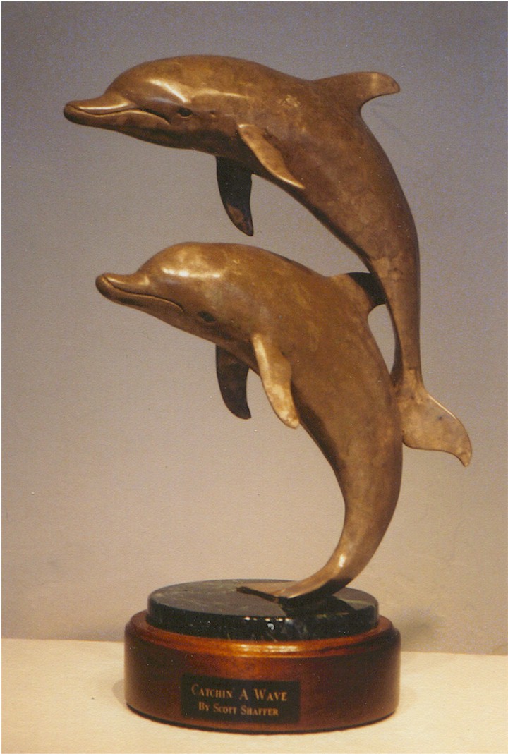Bottle Nose Dolphins "Catchin' a Wave"